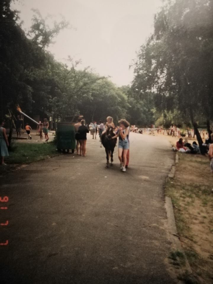 Donkey Rides At Ruislip Lido