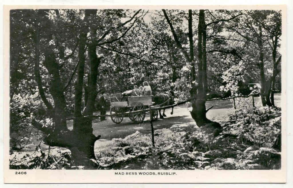 Mad Bess Woods Ruislip