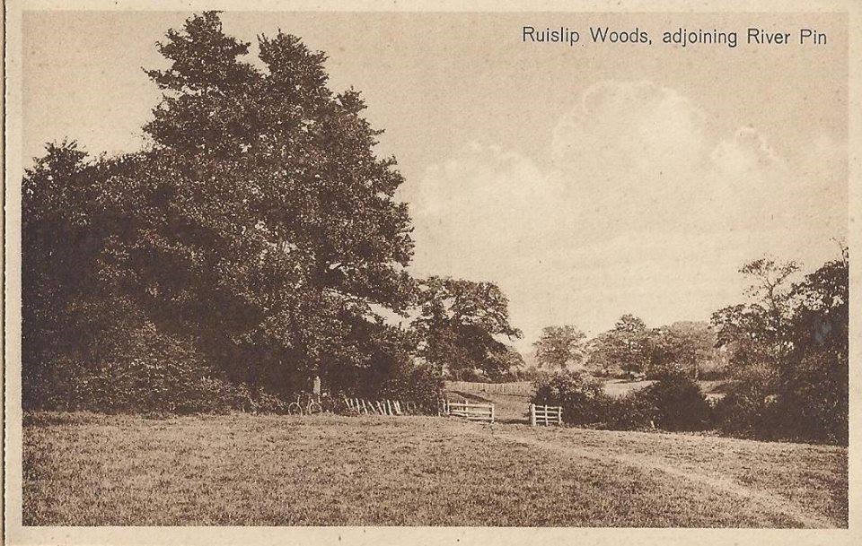 Ruislip Wood Adjoining River Pinn