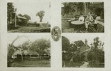 Eastcote Multiview